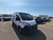 Fiat Ducato 2021
