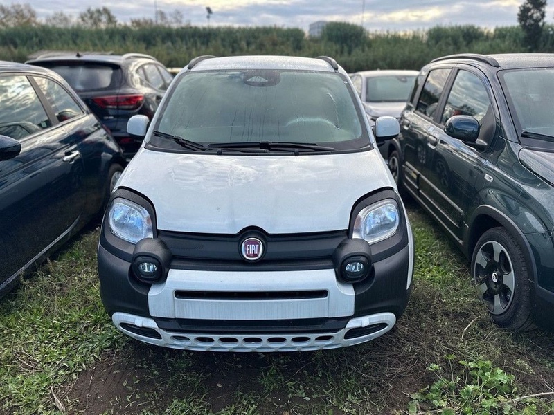 Fiat Other
