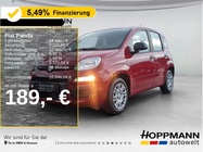 Fiat Panda 2026