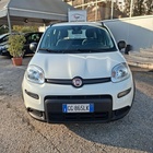 Fiat Panda 2021