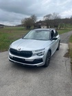 Skoda Kamiq 2024