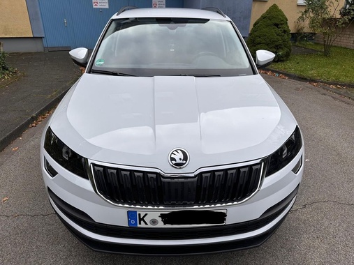 Skoda Karoq 2019