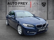 BMW 2 Series 2014