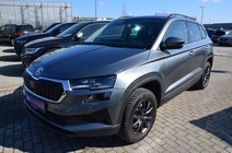 Skoda Karoq 2024