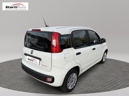 Fiat Panda 2023