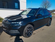 Skoda Kamiq 2021