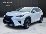 Lexus Other 2019