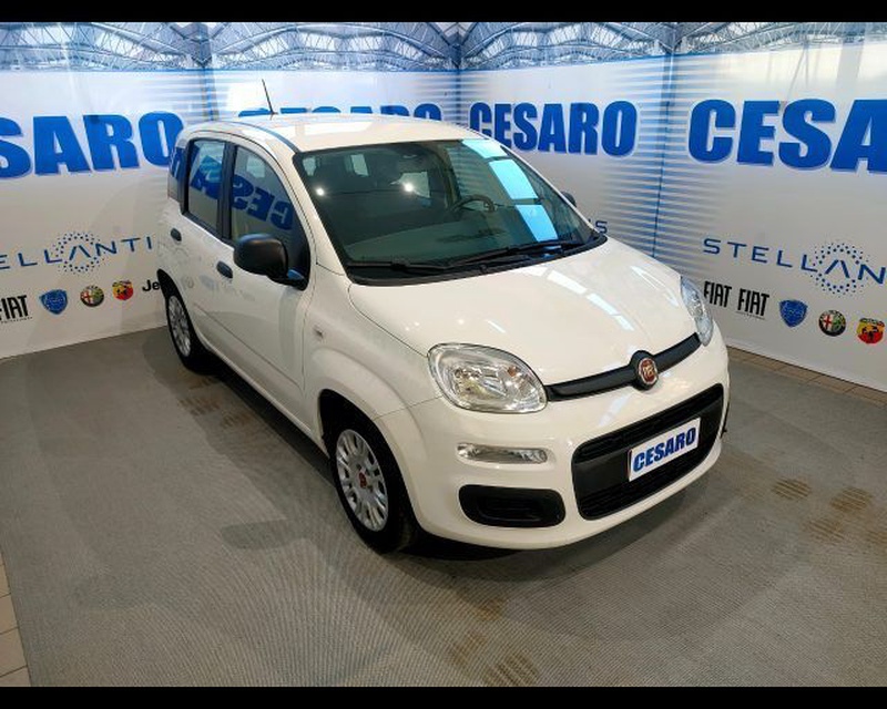 Fiat Other