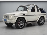 Mercedes-Benz G-Class 2010