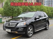 Mercedes-Benz M-Class 2010