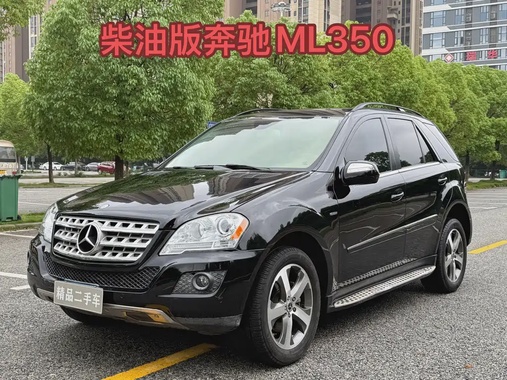 Mercedes-Benz M-Class 2010