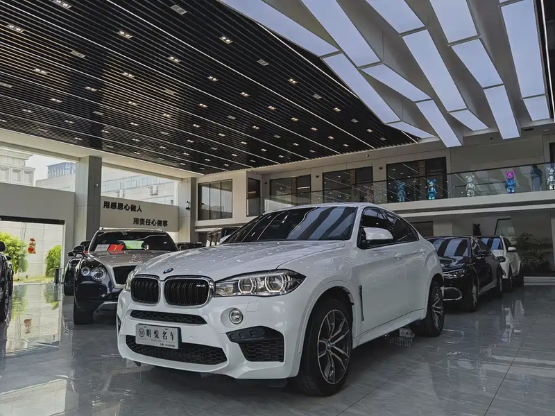 BMW X6M