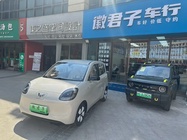 Wuling Mini 2025