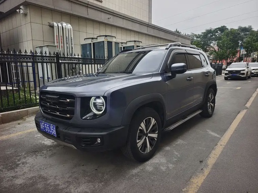 Haval Big Dog 2021