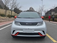 BYD Dolphin 2022