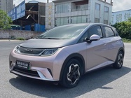 BYD Dolphin 2021