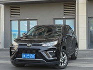 Toyota Wildlander 2021