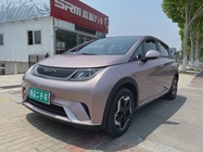 BYD Dolphin 2022