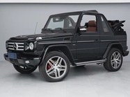 Mercedes-Benz G-Class 2009