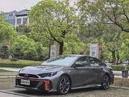 GAC Shadow Leopard 2024