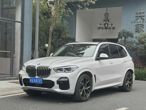 BMW X5 2019