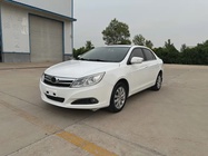 BYD Surui 2013