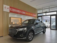 Hongqi HS5 2022