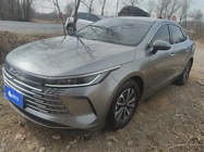 BYD Destroyer 2024