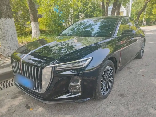 Hongqi H5 2024