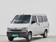 Wuling Zhiguang 2023