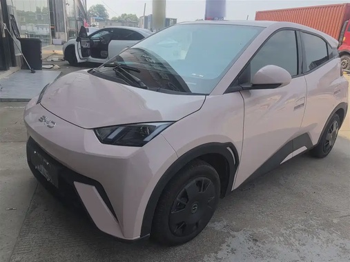 BYD Seagull 2024