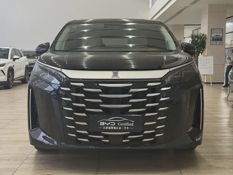 BYD Xia