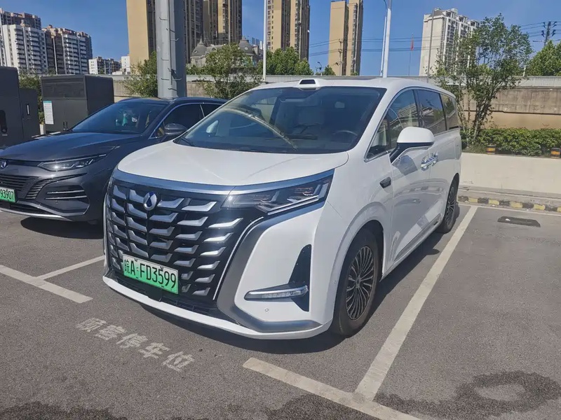 Denza D9