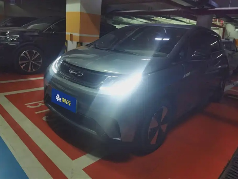 BYD Dolphin