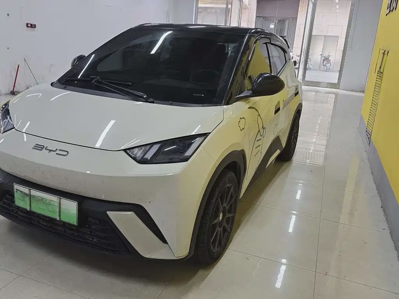 BYD Seagull