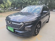 Wuling Victory 2021