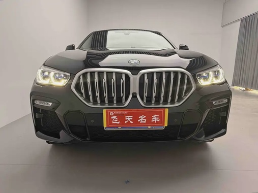 BMW X6 2021