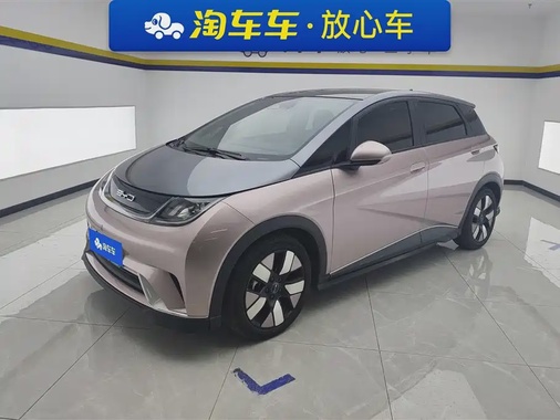 BYD Dolphin 2022