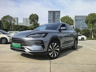 BYD MAX 2024