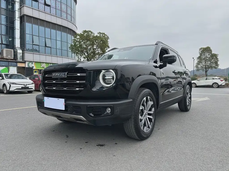 Haval Big Dog