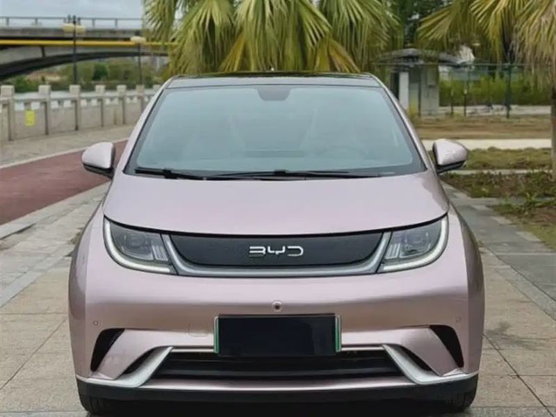 BYD Dolphin