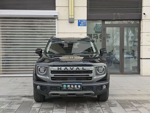 Haval Big Dog 2024
