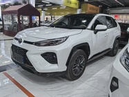 Toyota Wildlander 2024