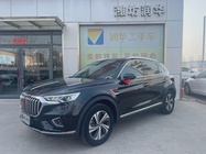 Hongqi HS5 2021