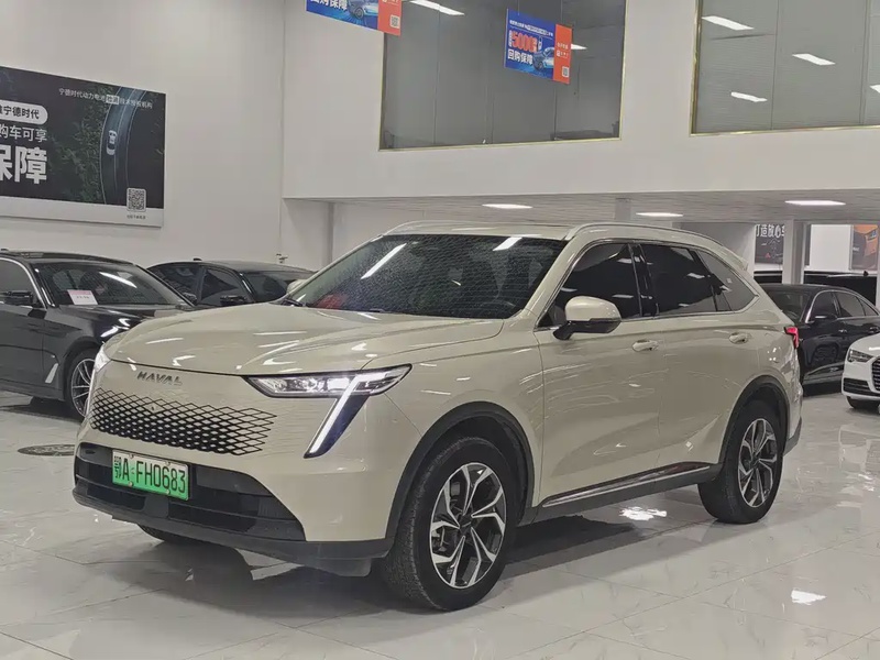 Haval Xiaolong