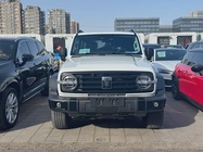Tank 300 2025