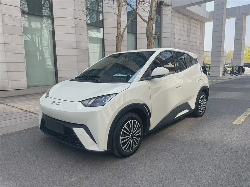 BYD Seagull