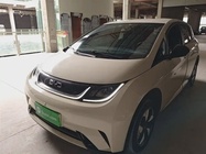 BYD Dolphin 2024
