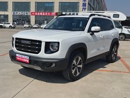 Haval Big Dog 2021