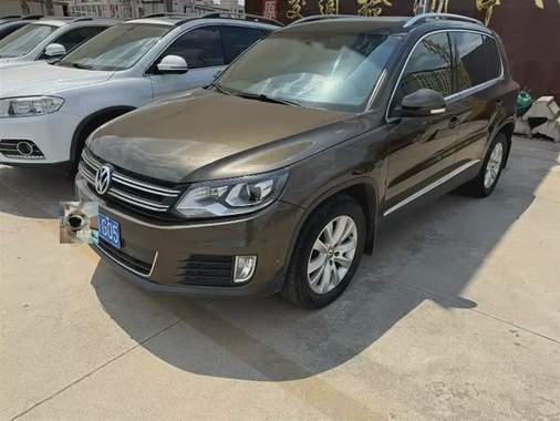 Volkswagen Tiguan 2013